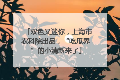 双色又迷你，上海市农科院出品，“吃瓜界”的小清新来了