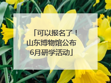 可以报名了！山东博物馆公布6月研学活动