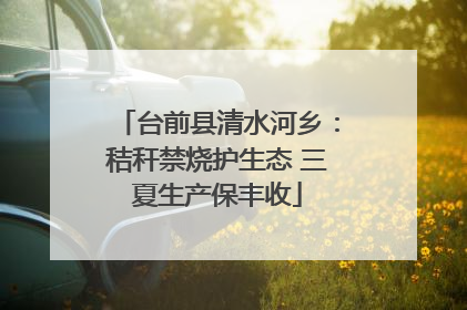 台前县清水河乡：秸秆禁烧护生态 三夏生产保丰收