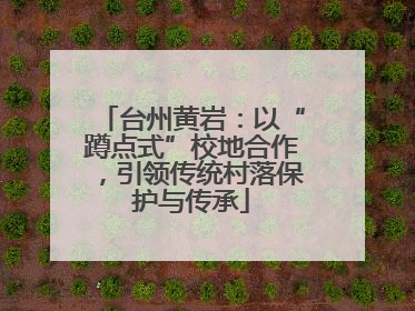 台州黄岩：以“蹲点式”校地合作，引领传统村落保护与传承