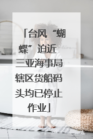 台风“蝴蝶”迫近 三亚海事局辖区货船码头均已停止作业