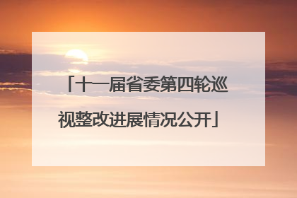 十一届省委第四轮巡视整改进展情况公开