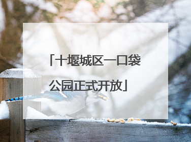 十堰城区一口袋公园正式开放