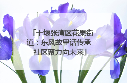 十堰张湾区花果街道：东风故里话传承 社区聚力向未来