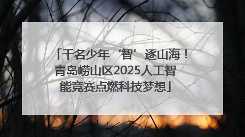 千名少年‘智’逐山海！青岛崂山区2025人工智能竞赛点燃科技梦想
