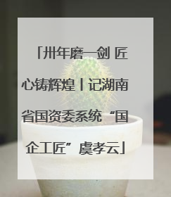 卅年磨一剑 匠心铸辉煌丨记湖南省国资委系统“国企工匠”虞孝云