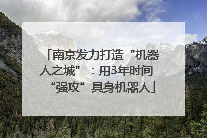 南京发力打造“机器人之城”：用3年时间“强攻”具身机器人