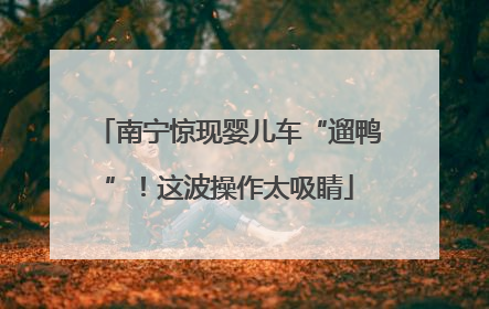 南宁惊现婴儿车“遛鸭”！这波操作太吸睛