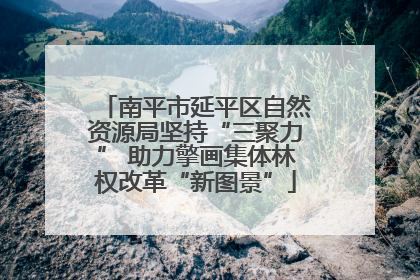 南平市延平区自然资源局坚持“三聚力” 助力擎画集体林权改革“新图景”