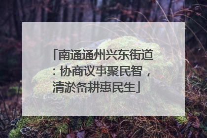 南通通州兴东街道：协商议事聚民智，清淤备耕惠民生