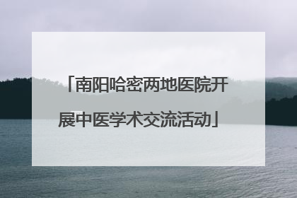 南阳哈密两地医院开展中医学术交流活动