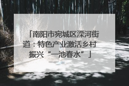 南阳市宛城区溧河街道：特色产业激活乡村振兴“一池春水”