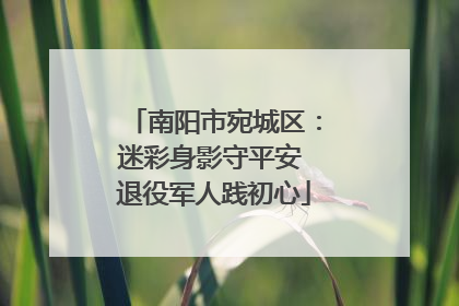 南阳市宛城区：迷彩身影守平安 退役军人践初心