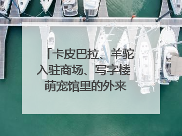 卡皮巴拉、羊驼入驻商场、写字楼 萌宠馆里的外来野生动物暗藏哪些隐患？