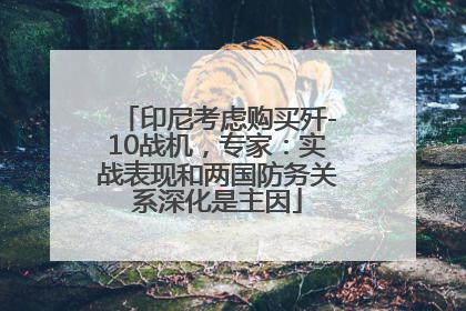 印尼考虑购买歼-10战机，专家：实战表现和两国防务关系深化是主因