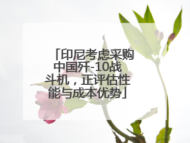 印尼考虑采购中国歼-10战斗机，正评估性能与成本优势