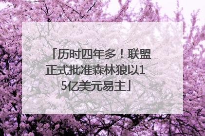 历时四年多！联盟正式批准森林狼以15亿美元易主