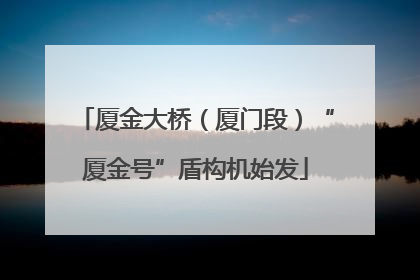 厦金大桥（厦门段）“厦金号”盾构机始发