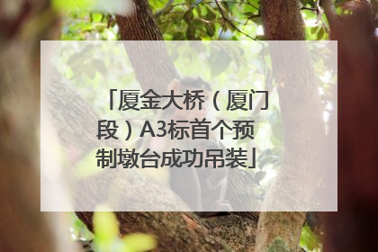 厦金大桥（厦门段）A3标首个预制墩台成功吊装