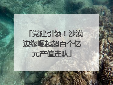 党建引领！沙漠边缘崛起超百个亿元产值连队