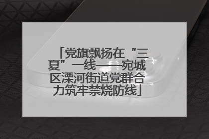 党旗飘扬在“三夏”一线——宛城区溧河街道党群合力筑牢禁烧防线