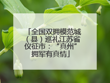 全国双拥模范城（县）巡礼江苏省仪征市：“真州”拥军有真情