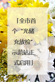 全市首个“光储充放检”示范站正式启用