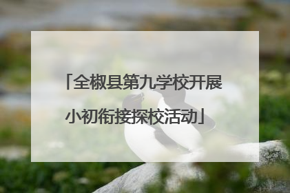 全椒县第九学校开展小初衔接探校活动