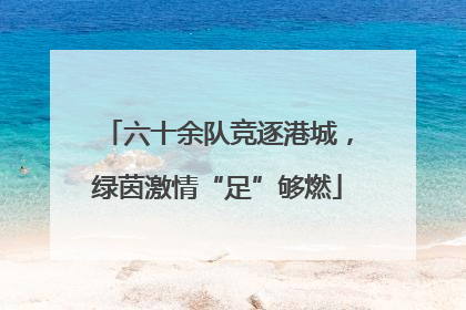 六十余队竞逐港城，绿茵激情“足”够燃