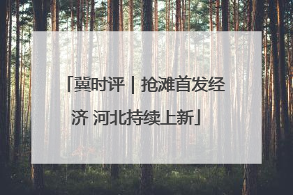 冀时评｜抢滩首发经济 河北持续上新