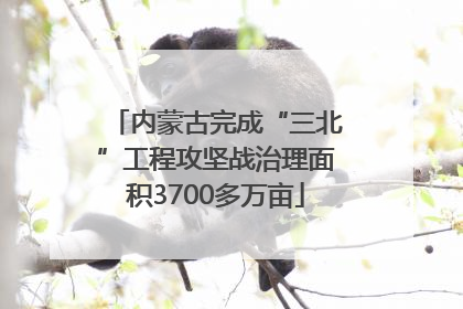 内蒙古完成“三北”工程攻坚战治理面积3700多万亩