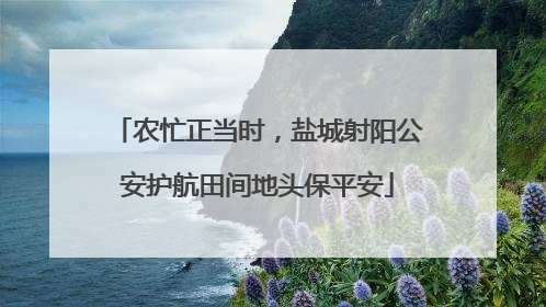 农忙正当时，盐城射阳公安护航田间地头保平安