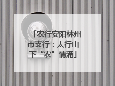 农行安阳林州市支行：太行山下“农”情涌