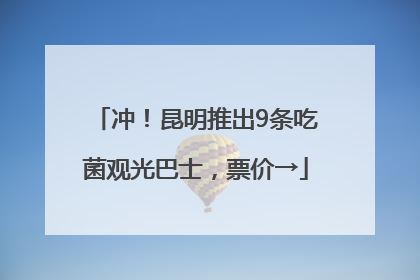 冲！昆明推出9条吃菌观光巴士，票价→