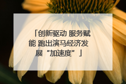 创新驱动 服务赋能 跑出演马经济发展“加速度”