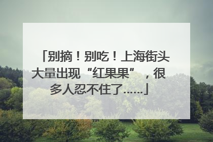 别摘！别吃！上海街头大量出现“红果果”，很多人忍不住了……