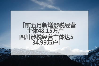 前五月新增涉税经营主体48.15万户 四川涉税经营主体达534.99万户