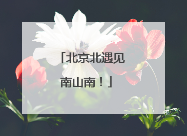 北京北遇见南山南！