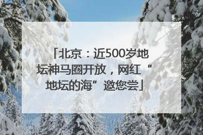 北京：近500岁地坛神马圈开放，网红“地坛的海”邀您尝