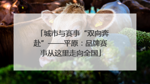 城市与赛事“双向奔赴”——平原：品牌赛事从这里走向全国