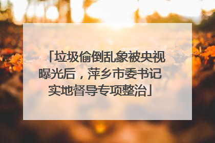 垃圾偷倒乱象被央视曝光后，萍乡市委书记实地督导专项整治