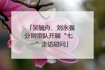 吴毓舟、刘永强分别带队开展“七一”走访慰问