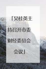 吴桂英主持召开市委财经委员会会议