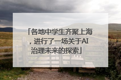 各地中学生齐聚上海，进行了一场关于AI治理未来的探索