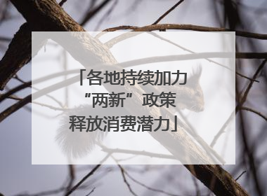 各地持续加力“两新”政策 释放消费潜力