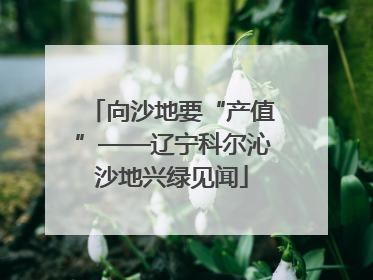 向沙地要“产值”——辽宁科尔沁沙地兴绿见闻