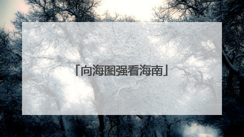 向海图强看海南