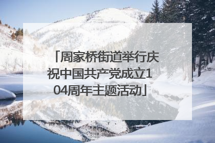 周家桥街道举行庆祝中国共产党成立104周年主题活动