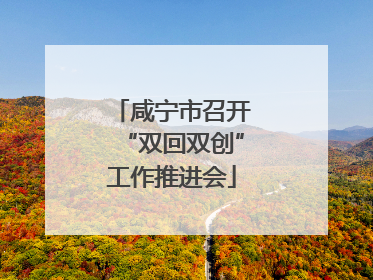 咸宁市召开“双回双创”工作推进会