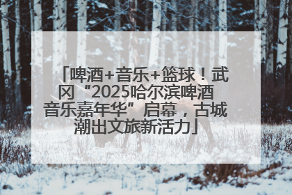 啤酒+音乐+篮球！武冈“2025哈尔滨啤酒音乐嘉年华”启幕，古城潮出文旅新活力